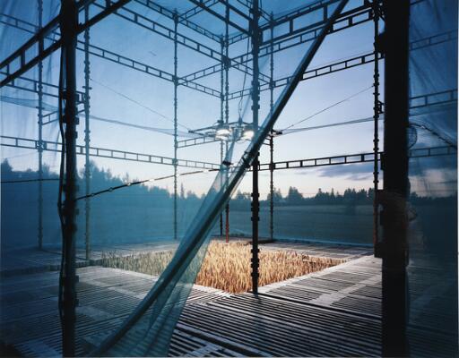 1. billede ud af i alt 2