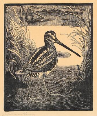 1. billede ud af i alt 2