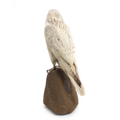 2. billede ud af i alt 3