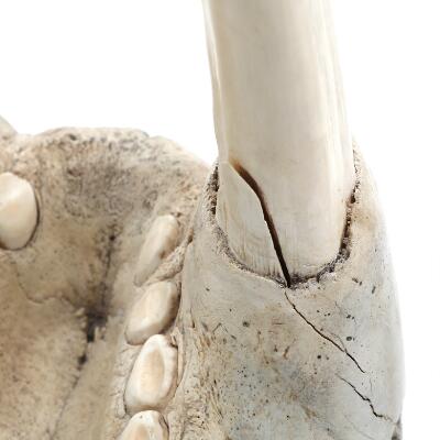 3. billede ud af i alt 4