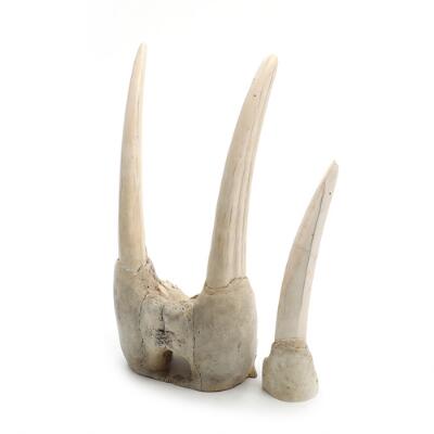 4. billede ud af i alt 4