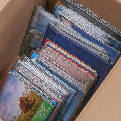 Første og eneste billede af emnet