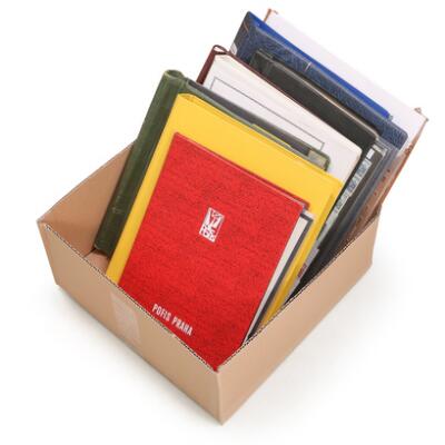 Første og eneste billede af emnet