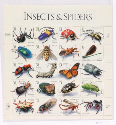 6. billede ud af i alt 15