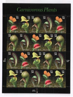 7. billede ud af i alt 15