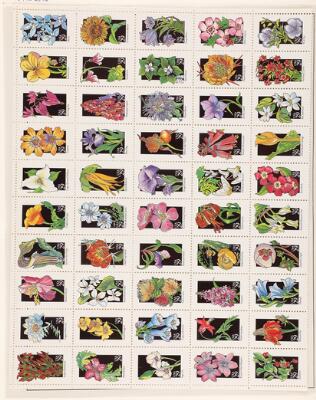 9. billede ud af i alt 15