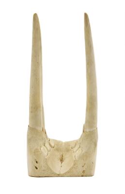 2. billede ud af i alt 4