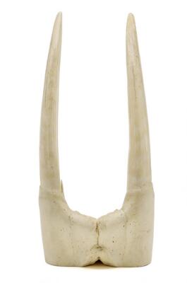 3. billede ud af i alt 4