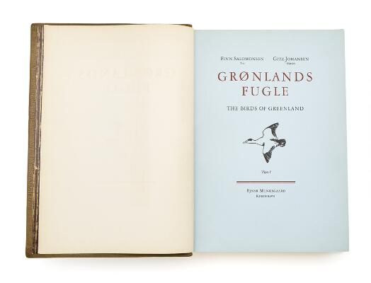 3. billede ud af i alt 4