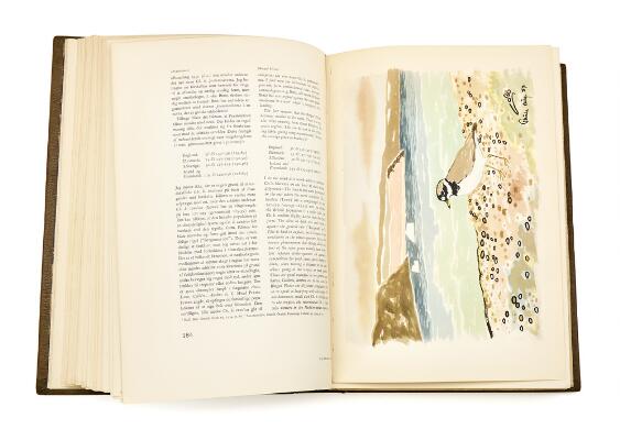 4. billede ud af i alt 4