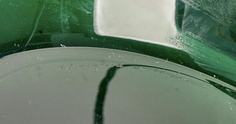 5. billede ud af i alt 6