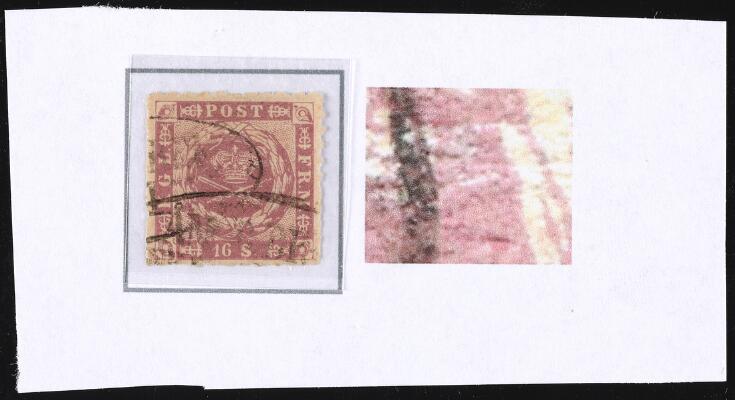 Første og eneste billede af emnet