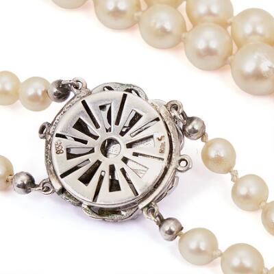 5. billede ud af i alt 5