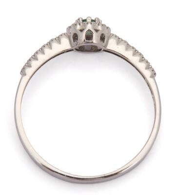 5. billede ud af i alt 5