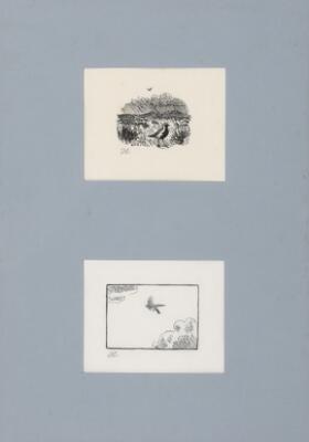 1. billede ud af i alt 3