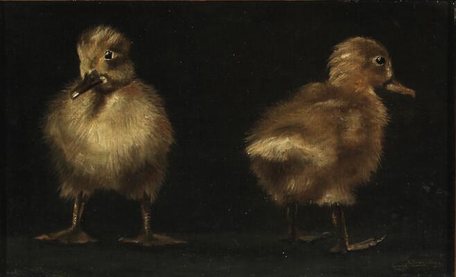 1. billede ud af i alt 3