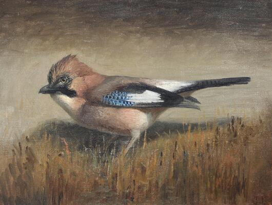 1. billede ud af i alt 3