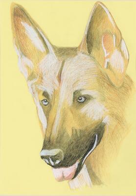 1. billede ud af i alt 6