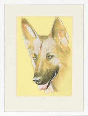 2. billede ud af i alt 6