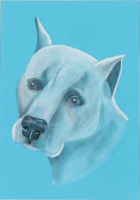 4. billede ud af i alt 6