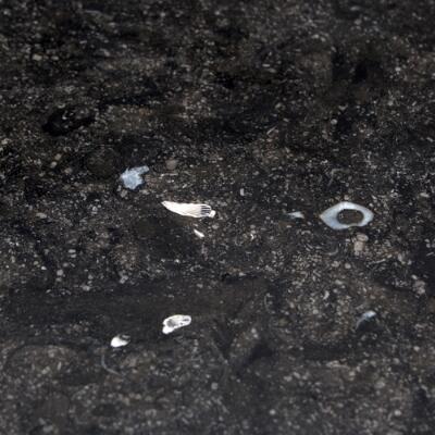 5. billede ud af i alt 5