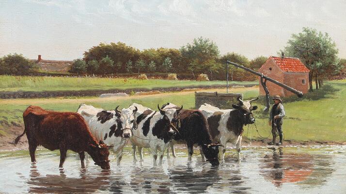 1. billede ud af i alt 3