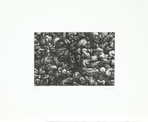 First and only image