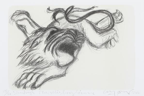 1. billede ud af i alt 2