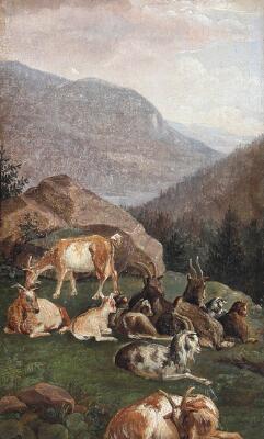 1. billede ud af i alt 3