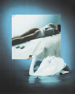 Første og eneste billede af emnet