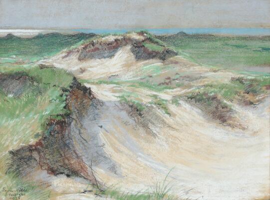 1. billede ud af i alt 3