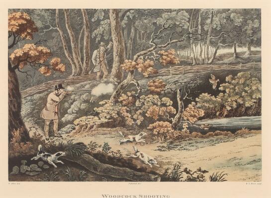 1. billede ud af i alt 3