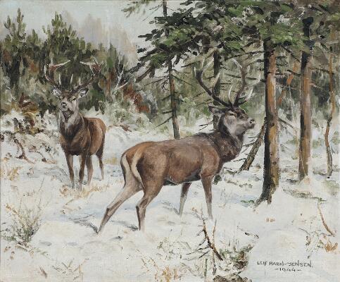 1. billede ud af i alt 3