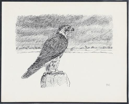 1. billede ud af i alt 3