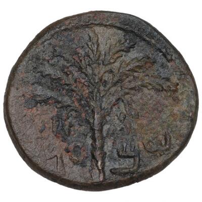 1. billede ud af i alt 2