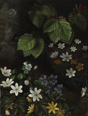 1. billede ud af i alt 3