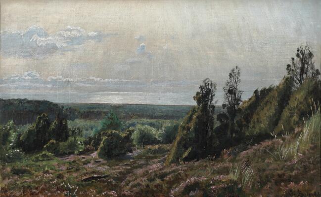 1. billede ud af i alt 3