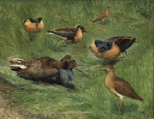 1. billede ud af i alt 3