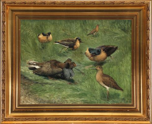 2. billede ud af i alt 3