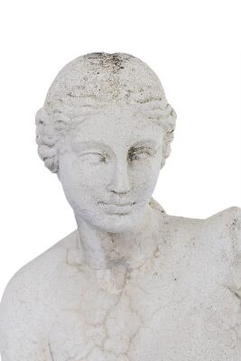 5. billede ud af i alt 5