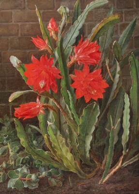 1. billede ud af i alt 3