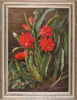 3. billede ud af i alt 3