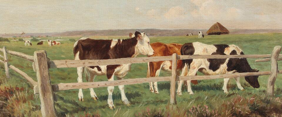 1. billede ud af i alt 3