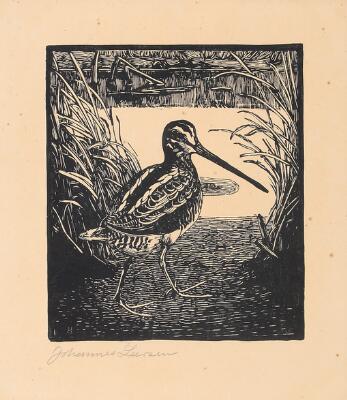 1. billede ud af i alt 2