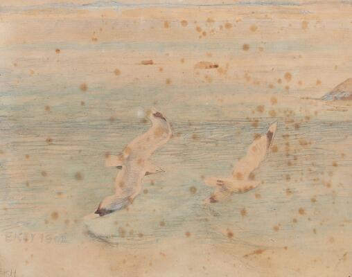 1st of 6 images