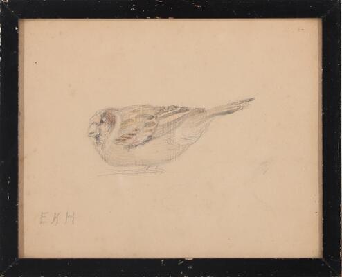 3rd of 6 images