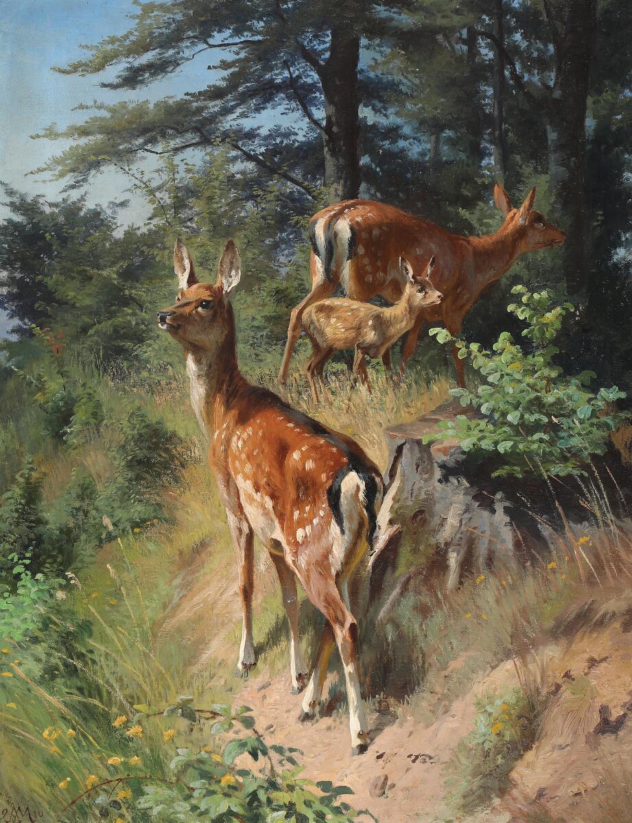 A. Mackeprang: Forest scenery with deers. Signed with monogram and dated 1910. Oil on canvas. 80×61 cm. — Paintings — Bruun Rasmussen