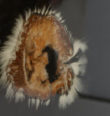 5th of 6 images