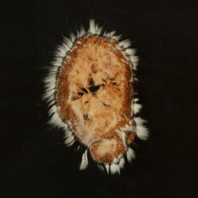 6th of 6 images