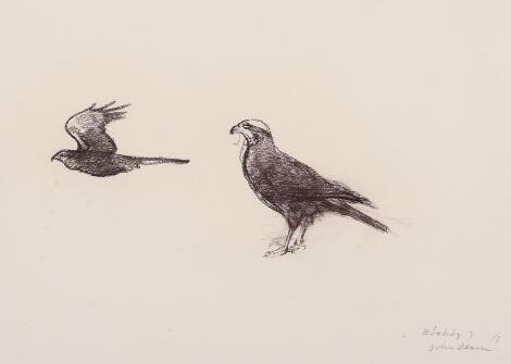 John Olsen: A marsh harrier. Signed John Olsen 96. Charcoal on paper. Sheet size 26 x 36 cm.